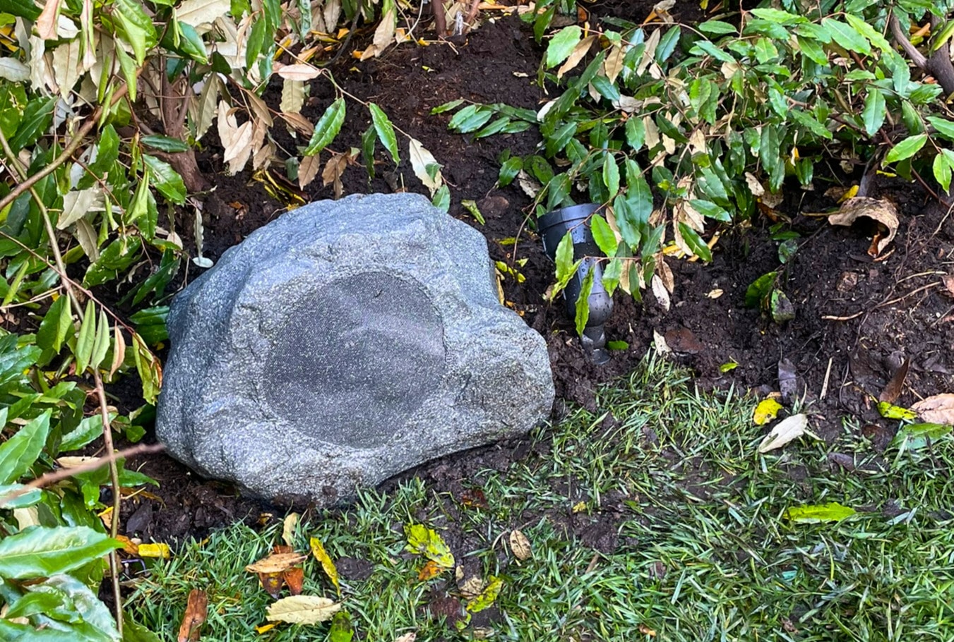 Focal audífonos de alta fidelidad